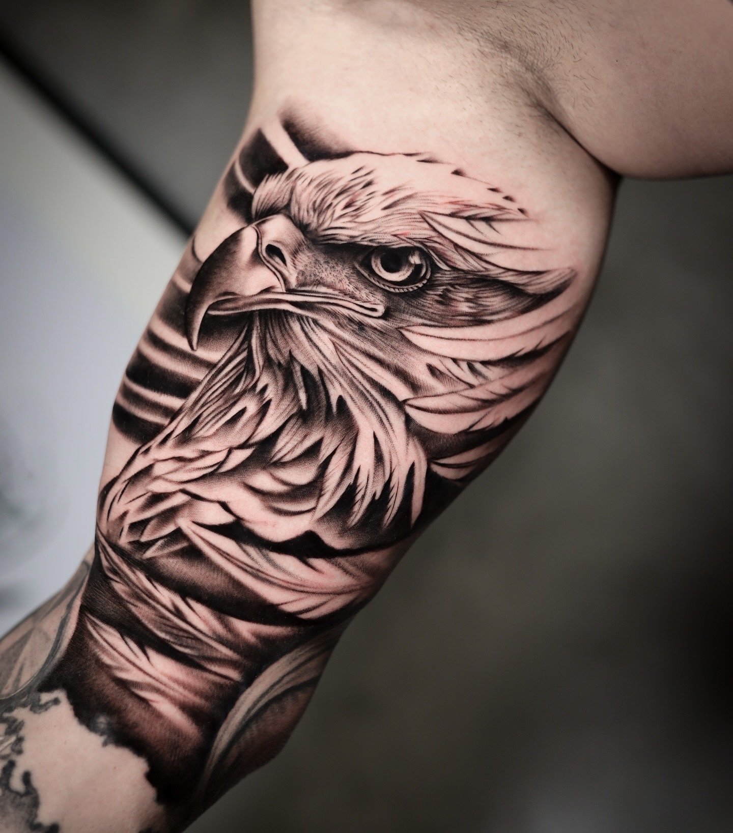 Eagle