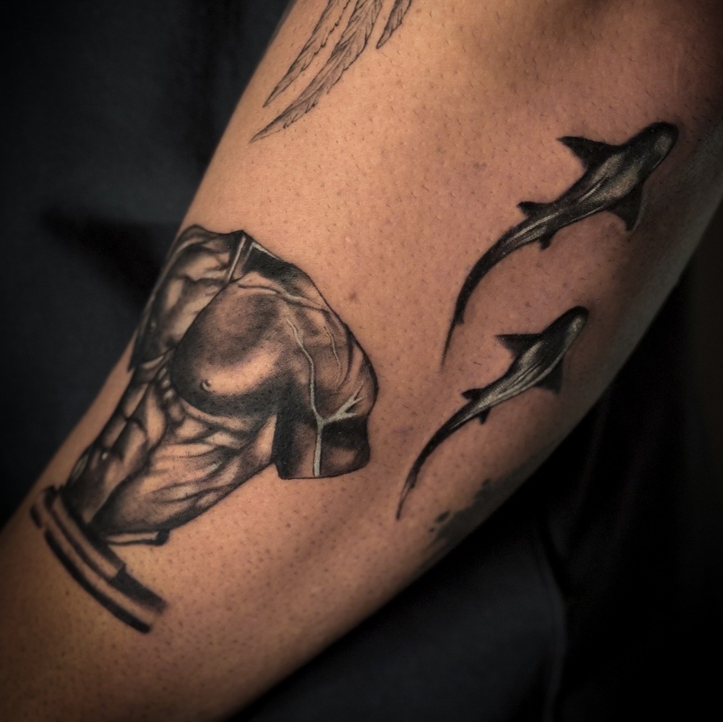 Body Sculpture & Sharks 8