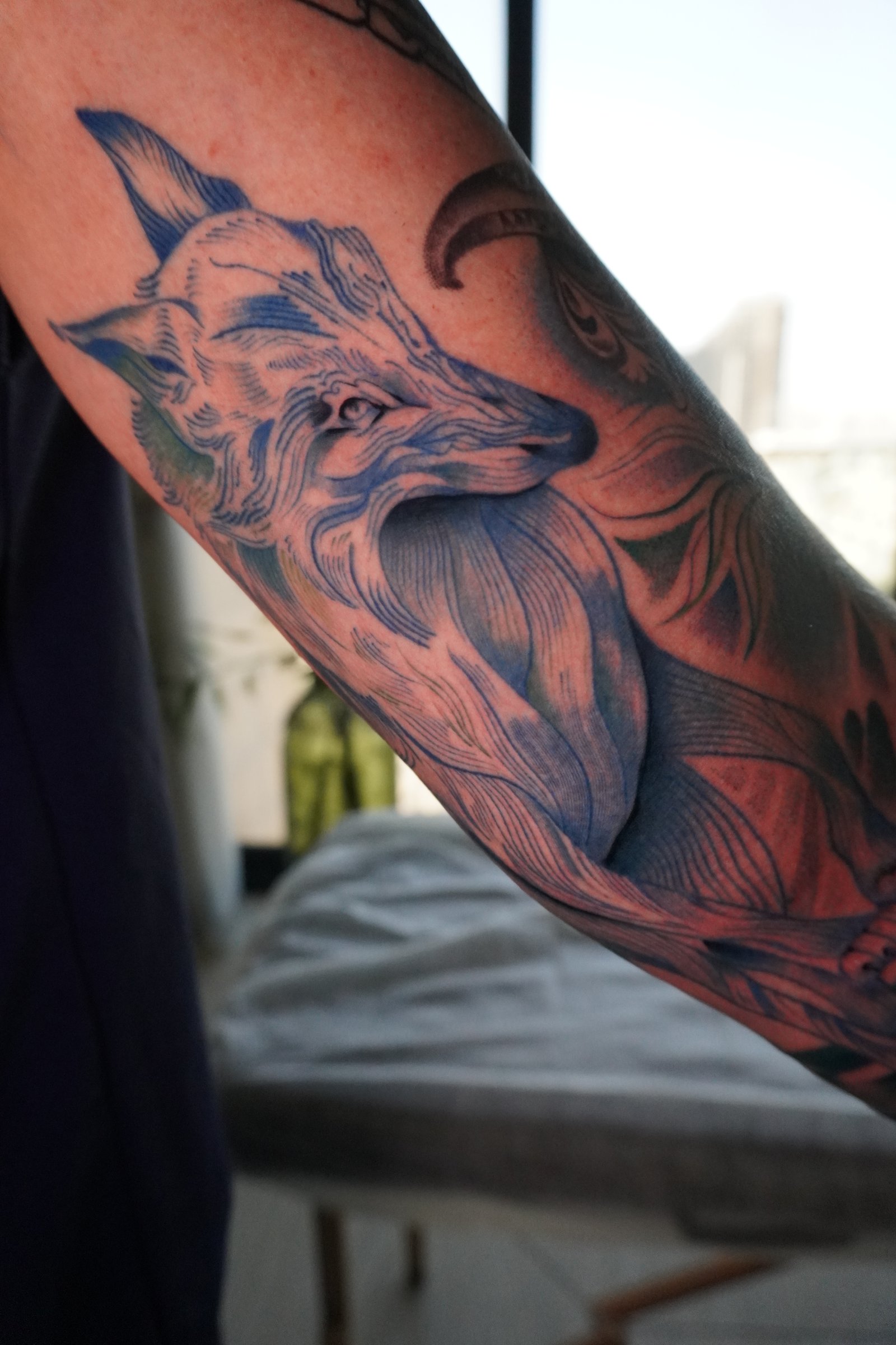 Blue Wolf 6